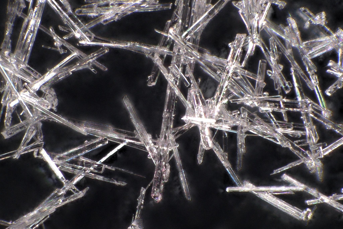 Taurine crystal microneedles