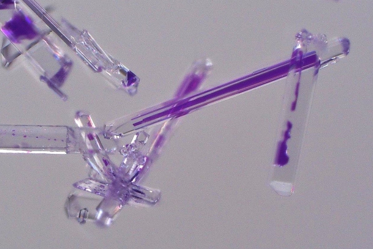 Taurine crystal microneedles
